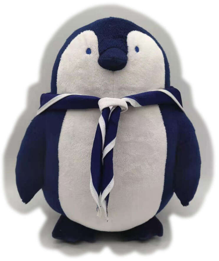 ReQuest 2021 Shackleton The Penguin Crowdfunder Launched