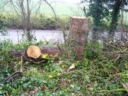 We're sorry for any inconvenience!