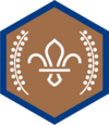 bronze